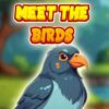 meet the birds