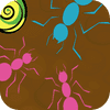 Ameisenlabyrinth